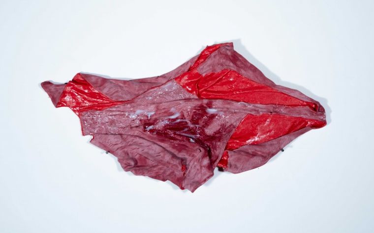 carne di tessuto